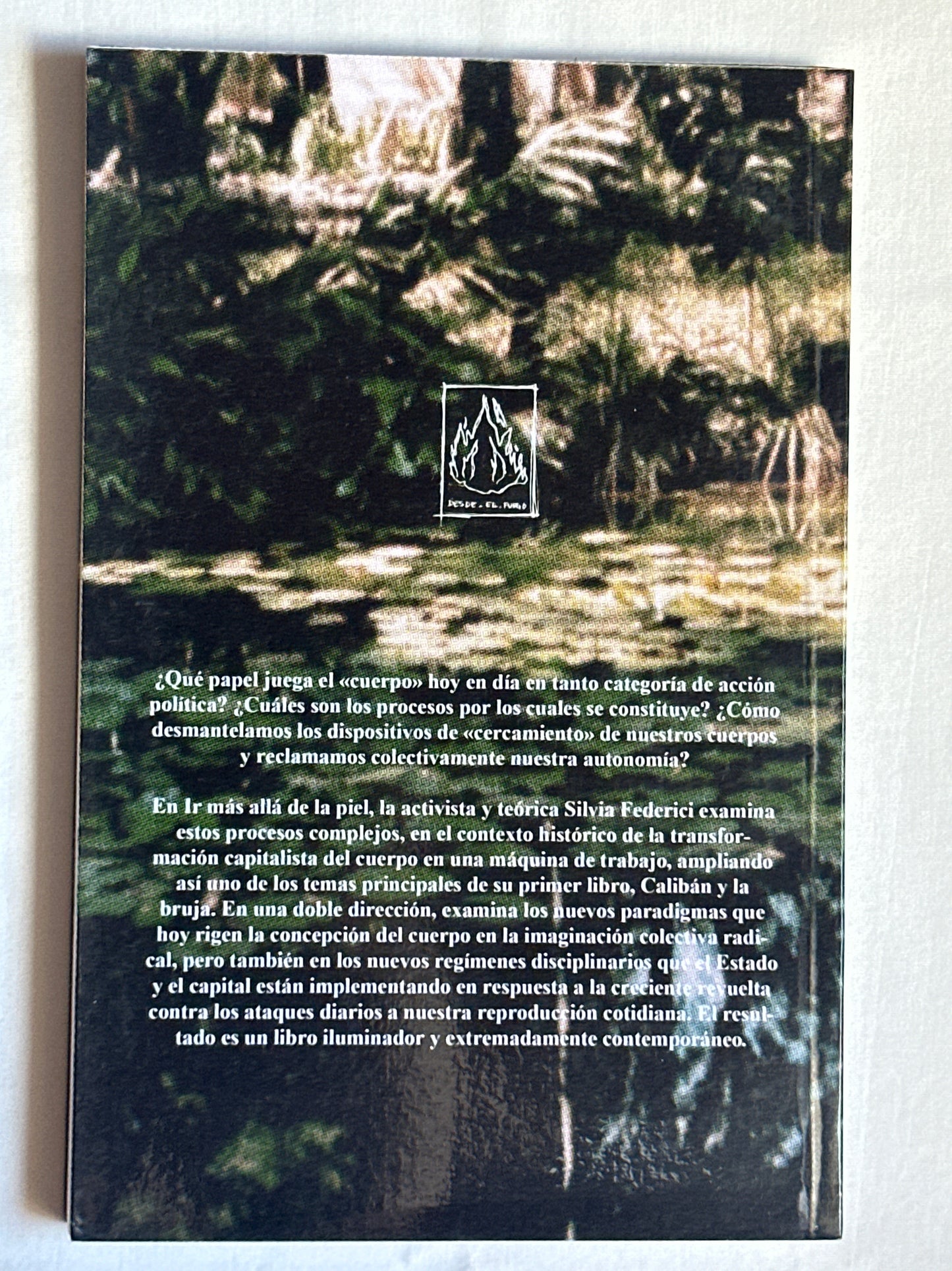 IR MÁS ALLÁ DE LA PIEL - Silvia Federici