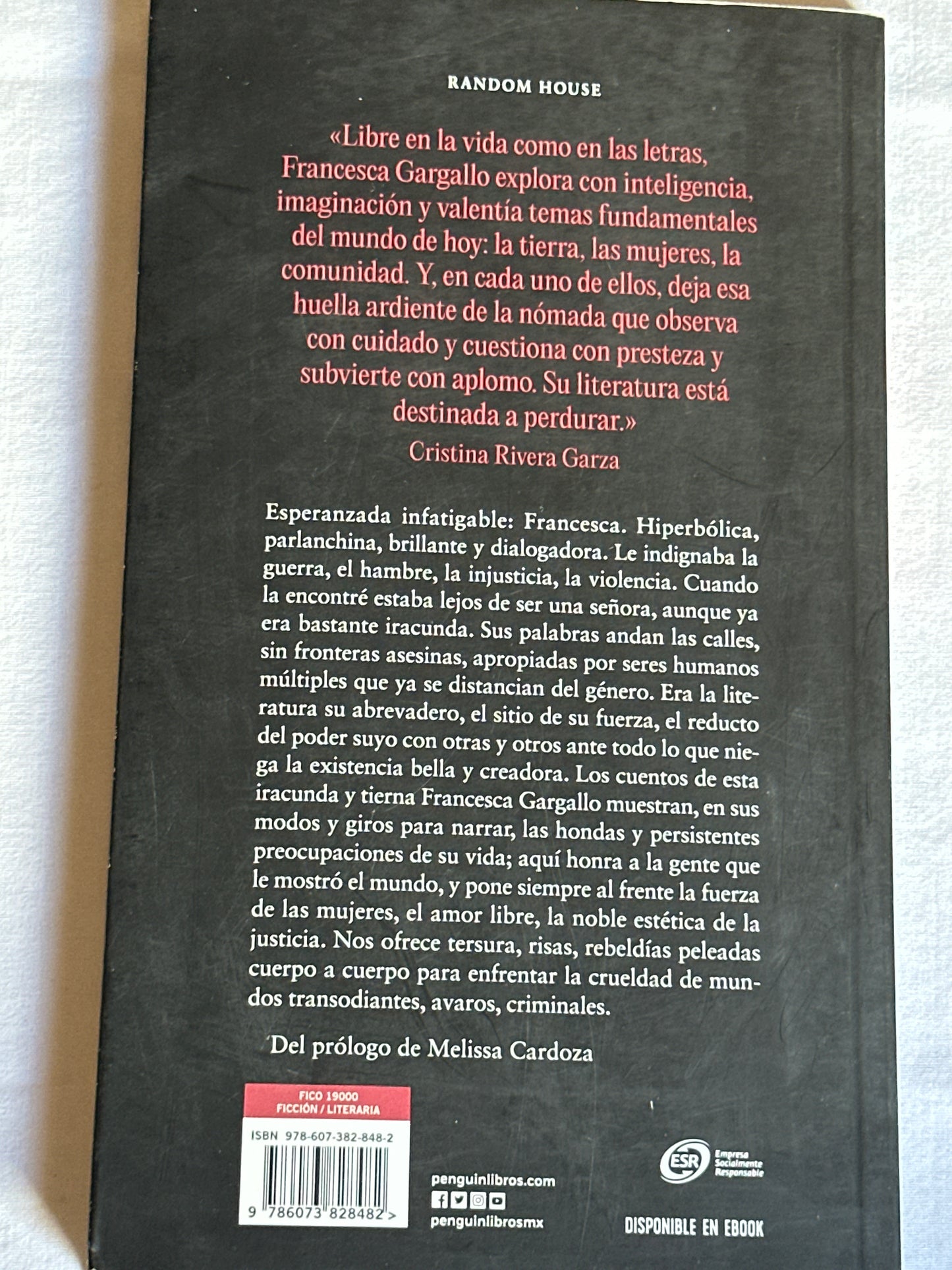 En qué momento me volví esa señora iracunda - Francesca Gargallo