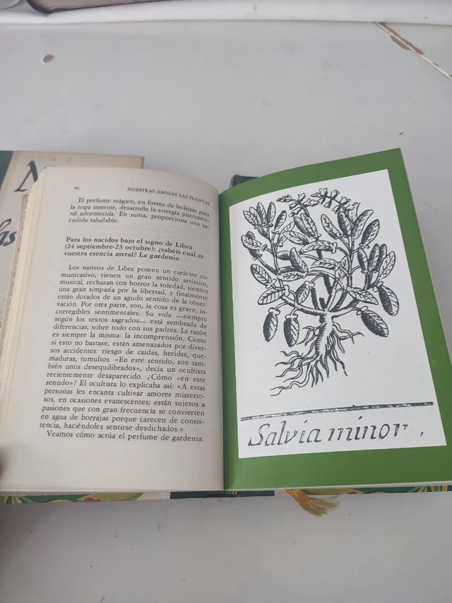 NUESTRAS AMIGAS LAS PLANTAS - Daniele Manta y Diego Semolli