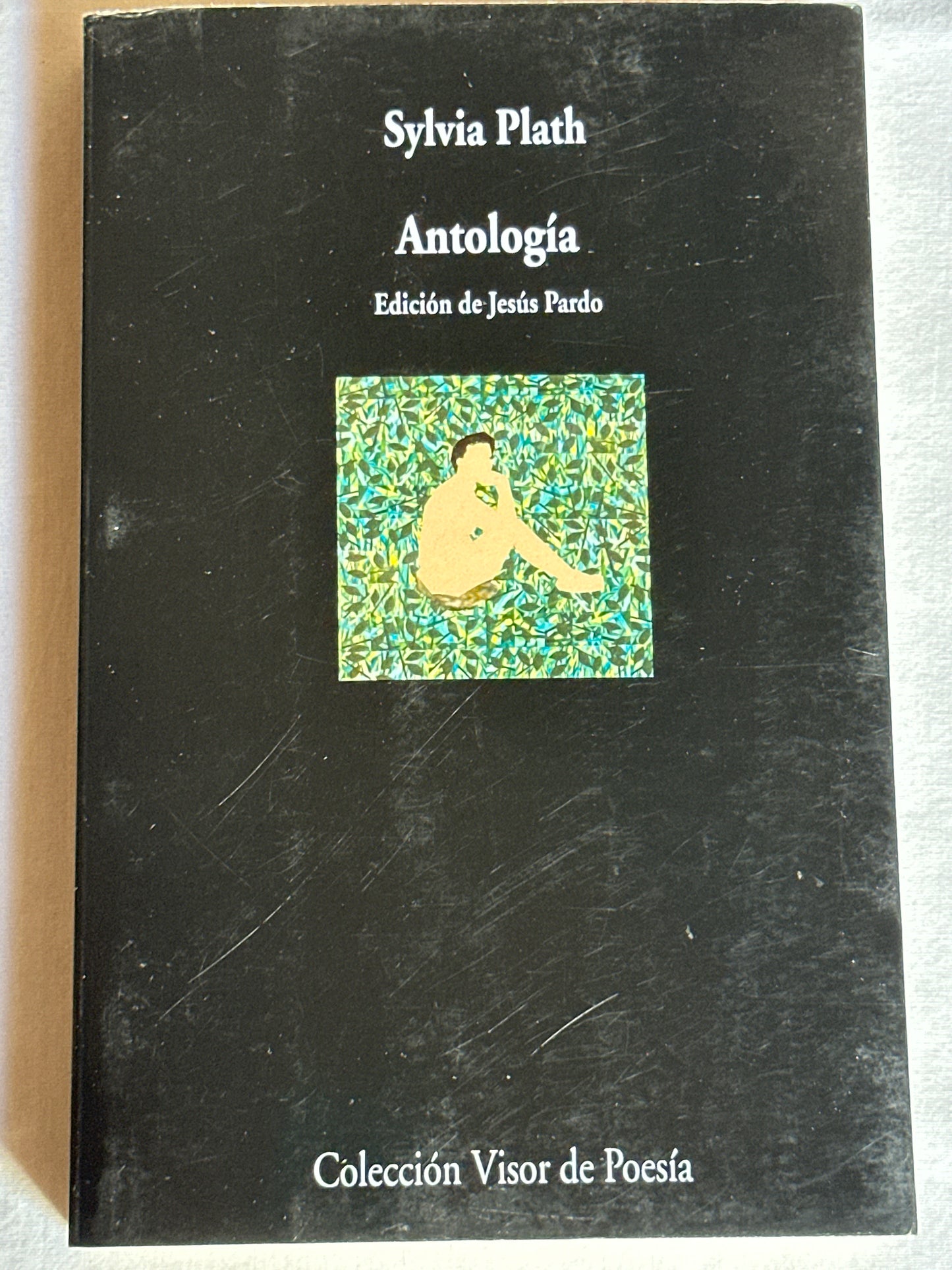 Antología - Sylvia Plath
