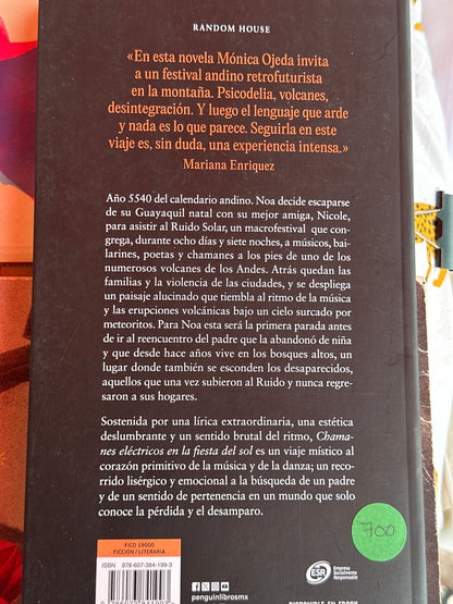CHAMANES ELÉCTRICOS EN LA FIESTA DEL SOL - Mónica Ojeda