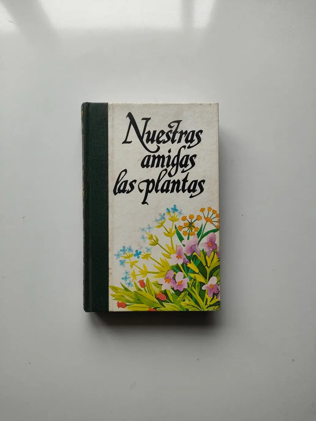 NUESTRAS AMIGAS LAS PLANTAS - Daniele Manta y Diego Semolli