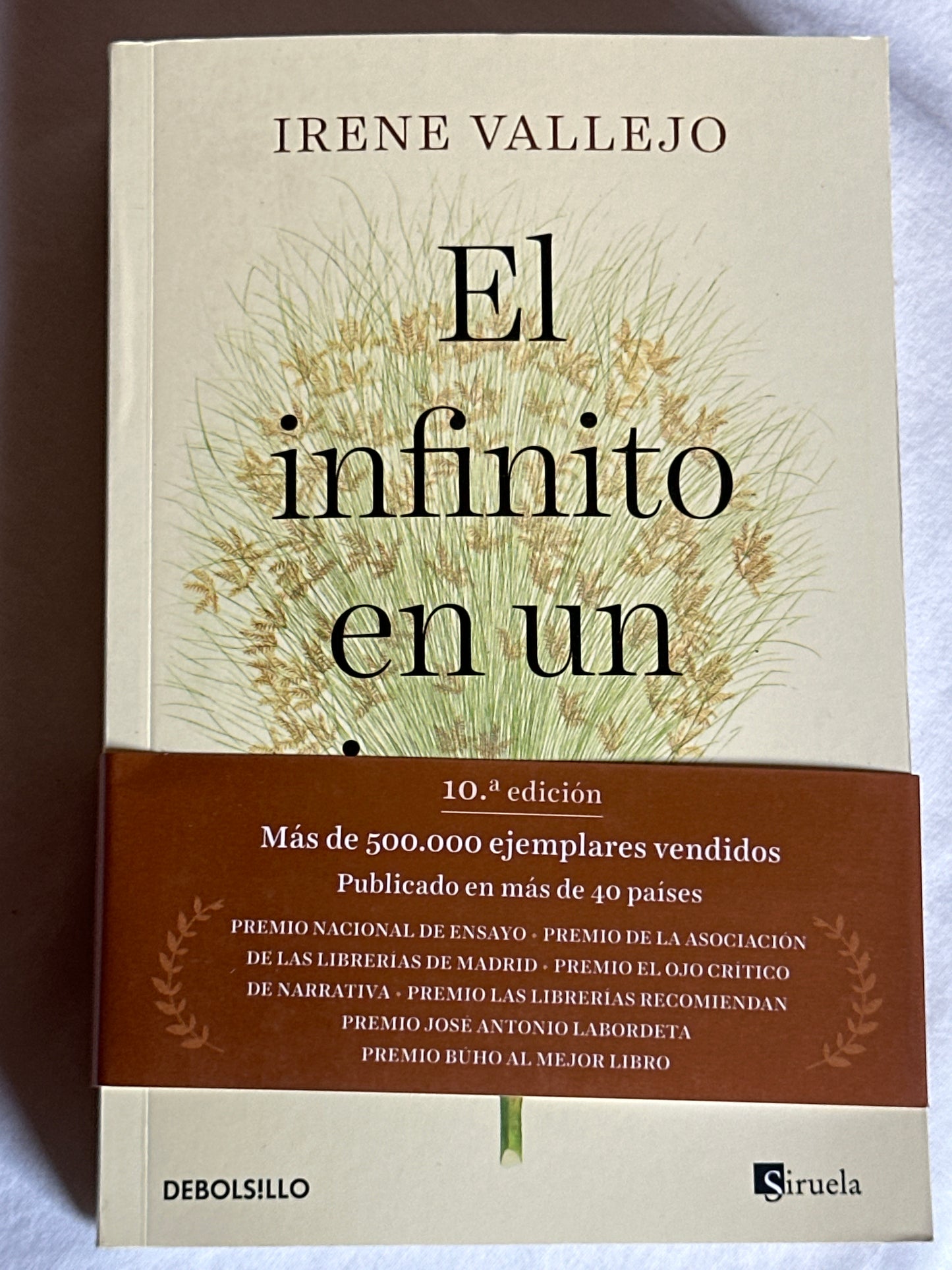EL INFINITO EN UN JUNCO - Irene Vallejo