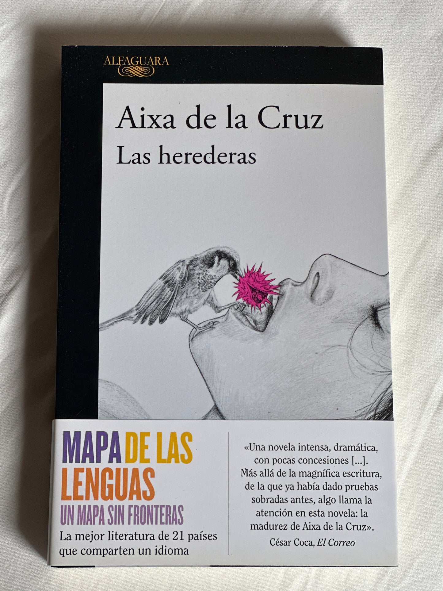 Las herederas - Aixa de la Cruz
