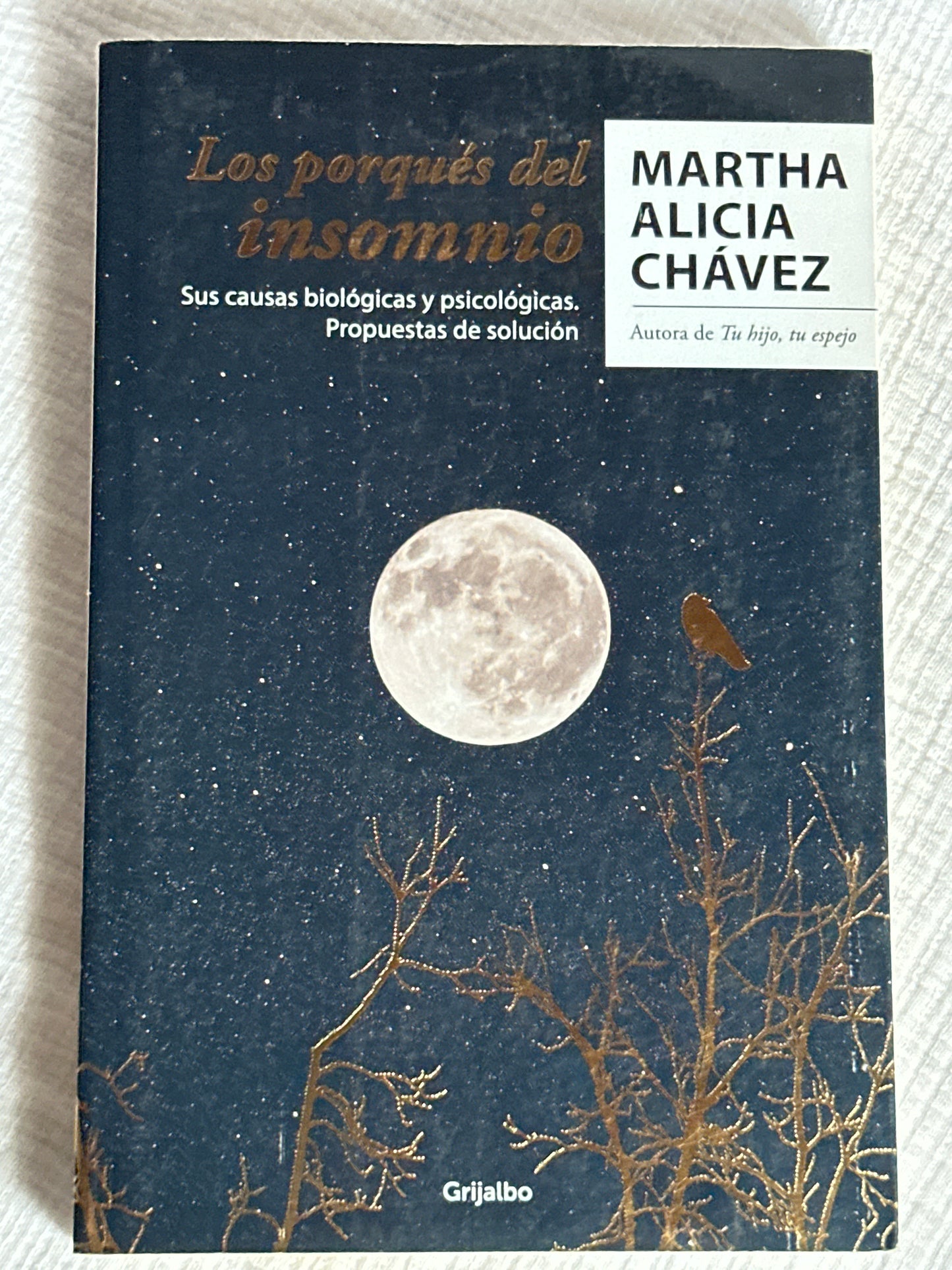Los porqués del insomnio - Martha Alicia Chávez