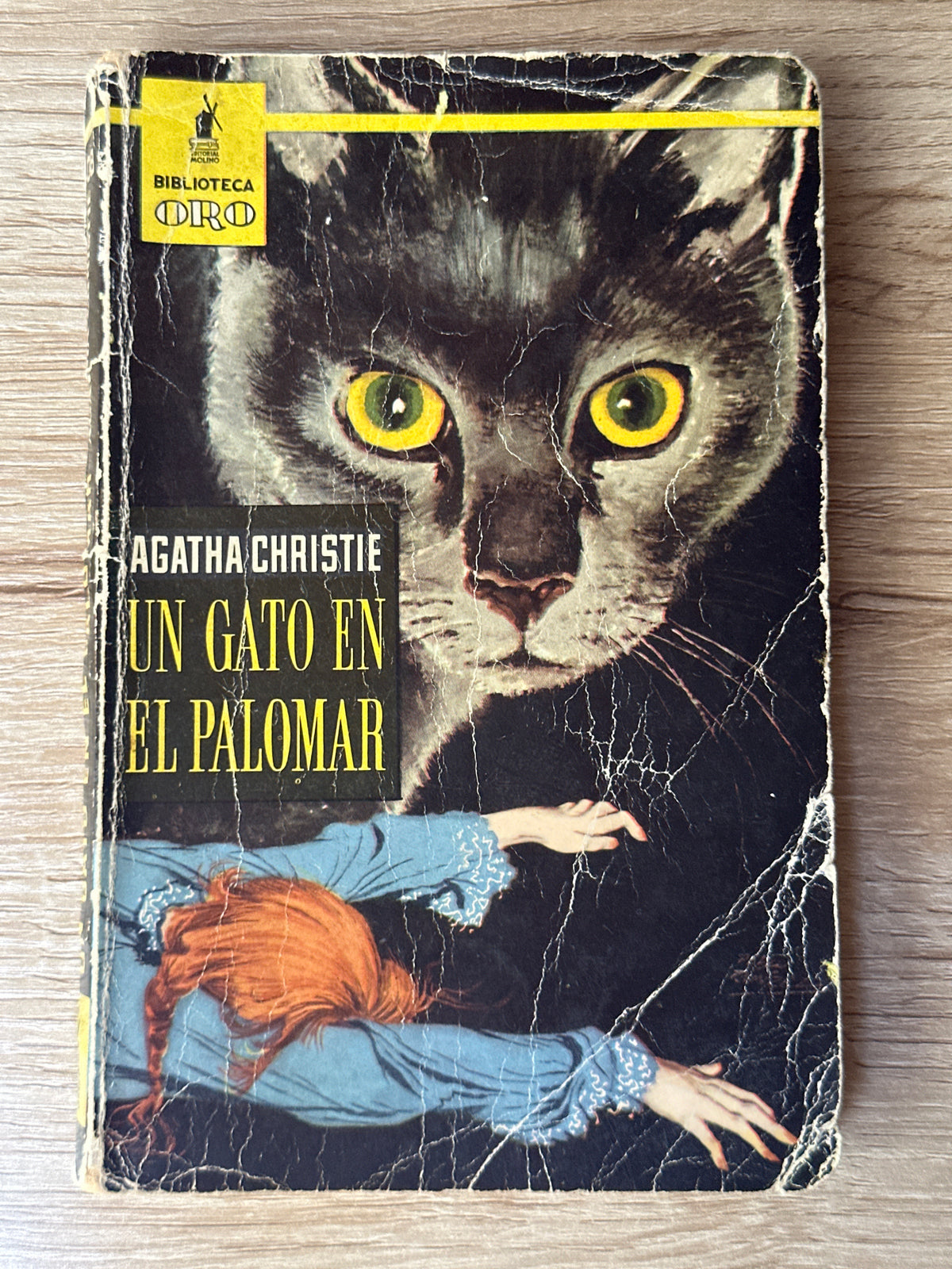 Un gato en el palomar
