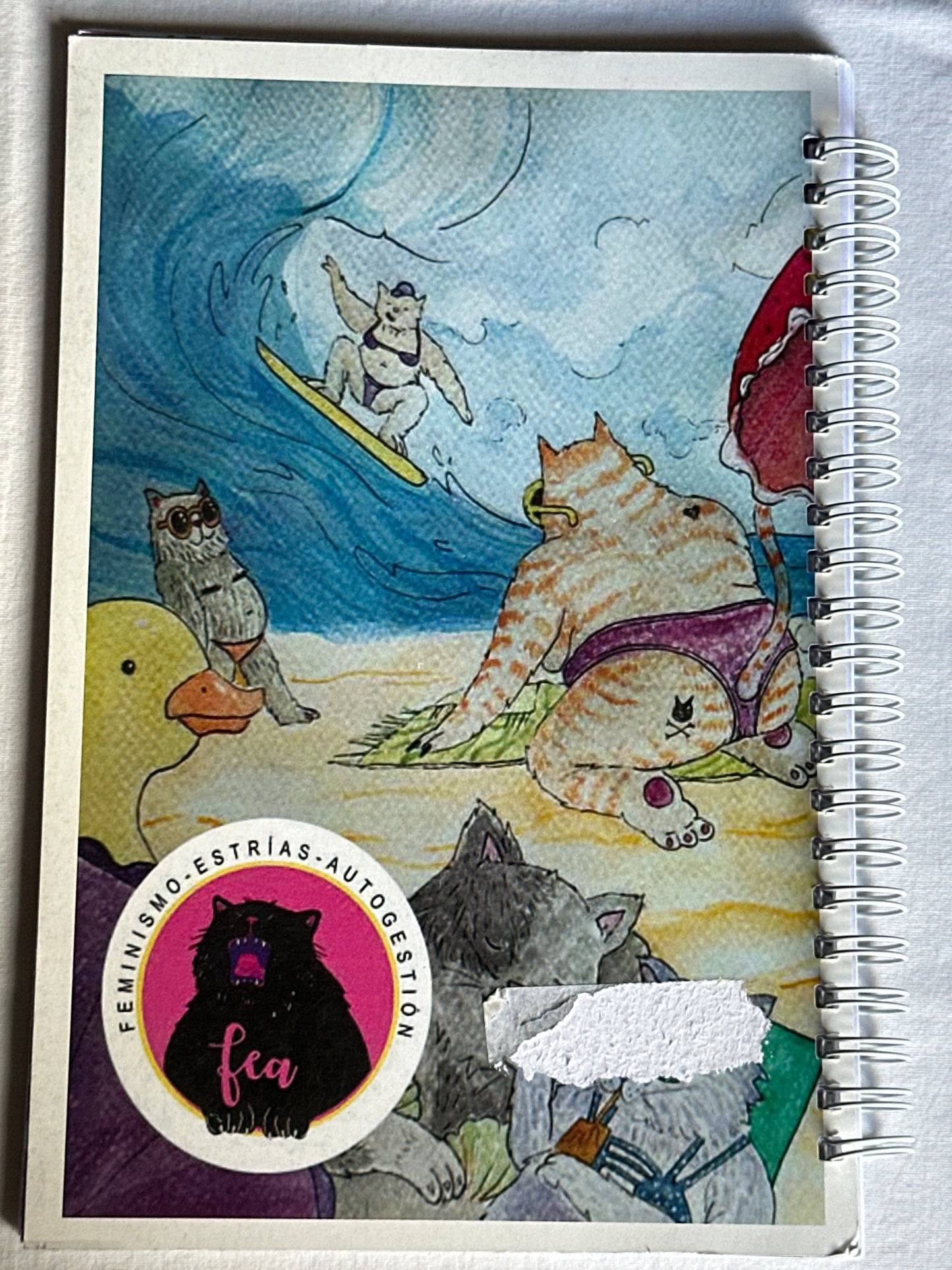 Cuaderna gorda para colorear e informarse - Gabriela Contreras