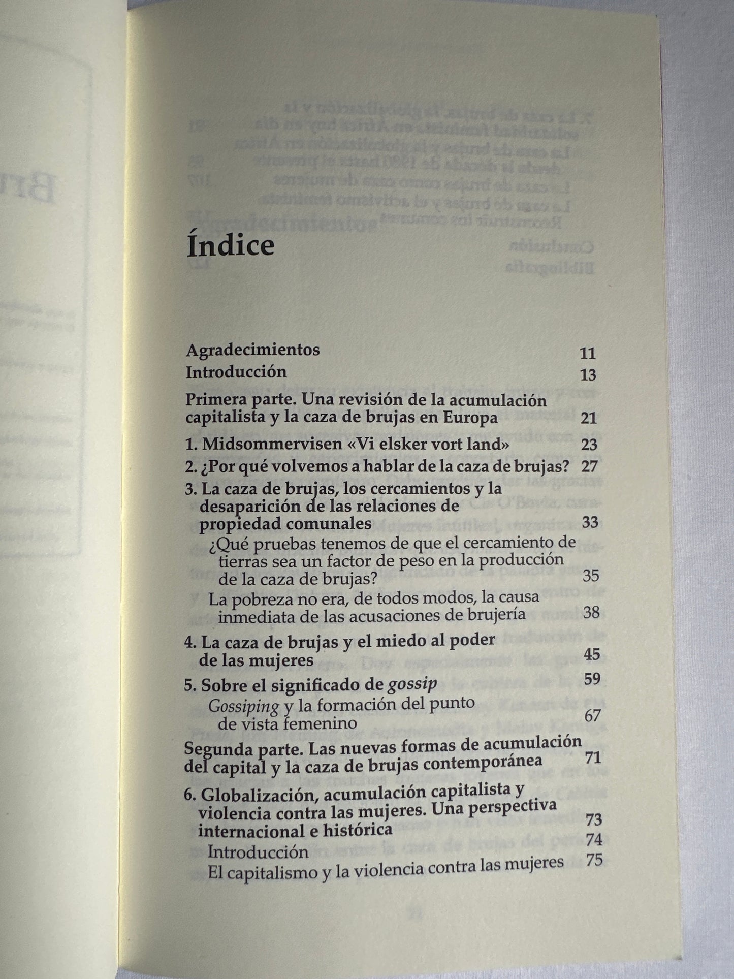 BRUJAS, CAZA DE BRUJAS Y MUJERES - Silvia Federici