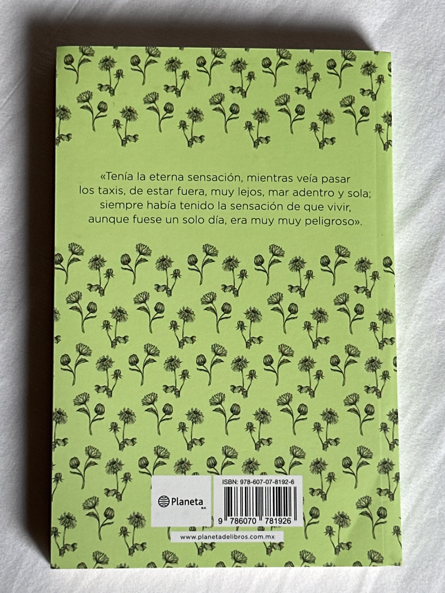 La señora Dalloway - Virginia Woolf