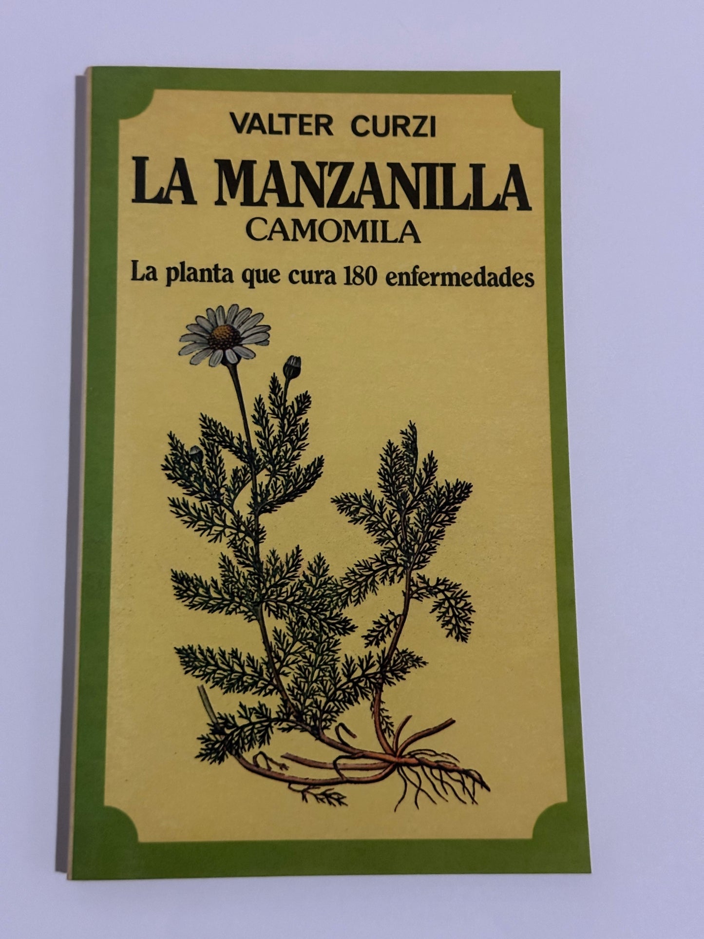 LA MANZANILLA: CAMOMILA, LA PLANTA QUE CURA 180 ENFERMEDADES - Valter Curzi