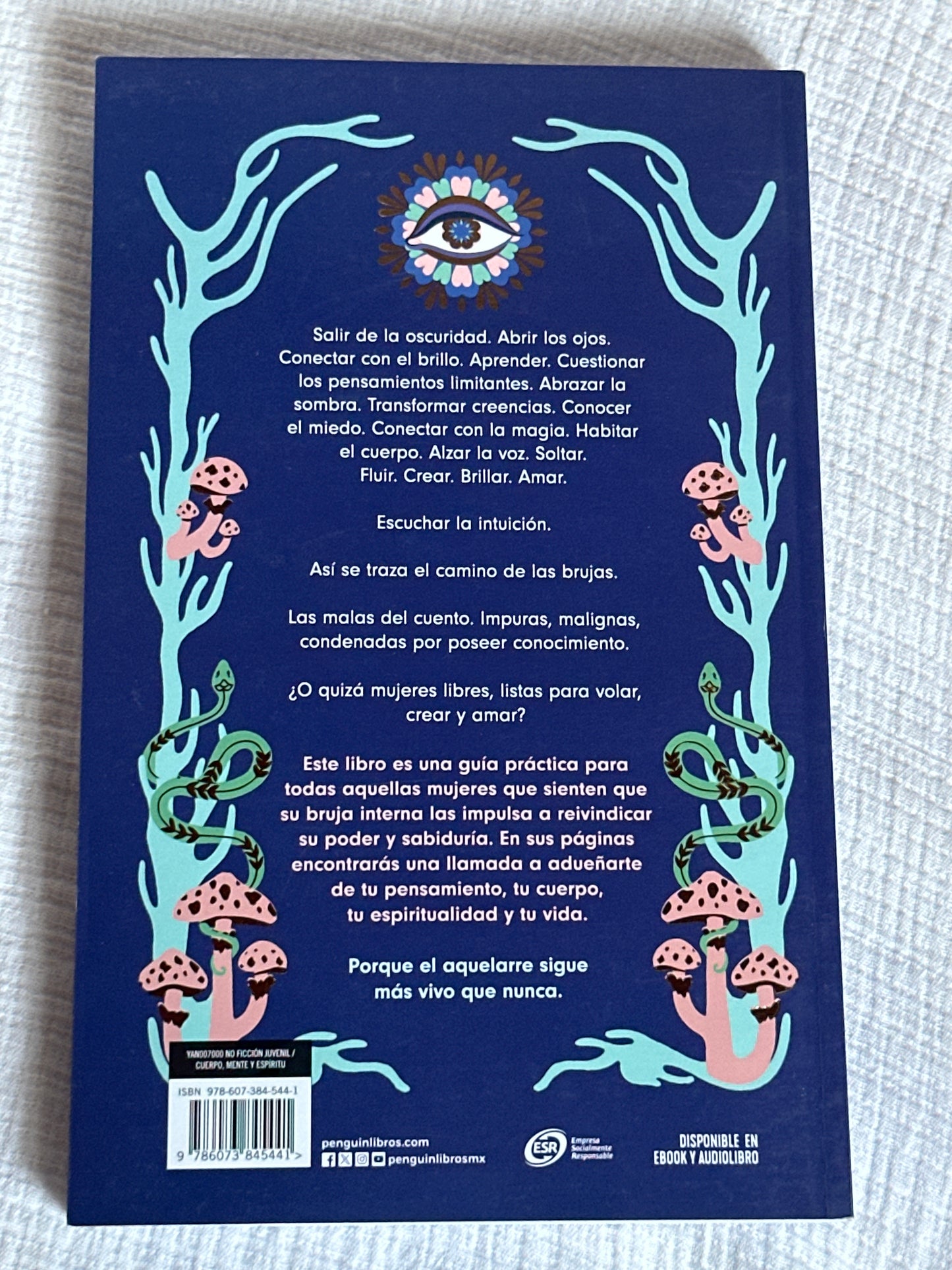 LA INTUICIÓN DE LAS BRUJAS - Cinthya González