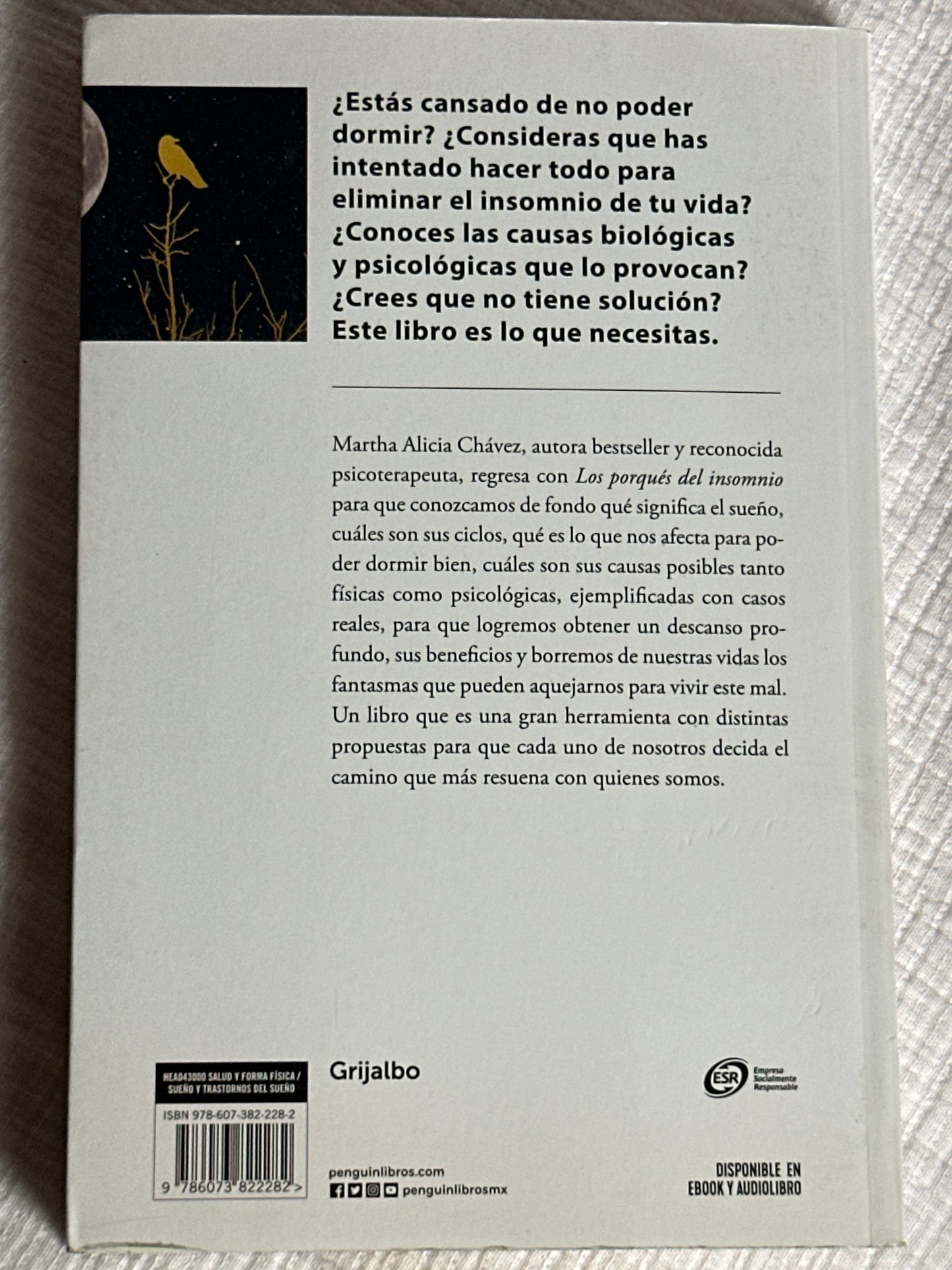 Los porqués del insomnio - Martha Alicia Chávez