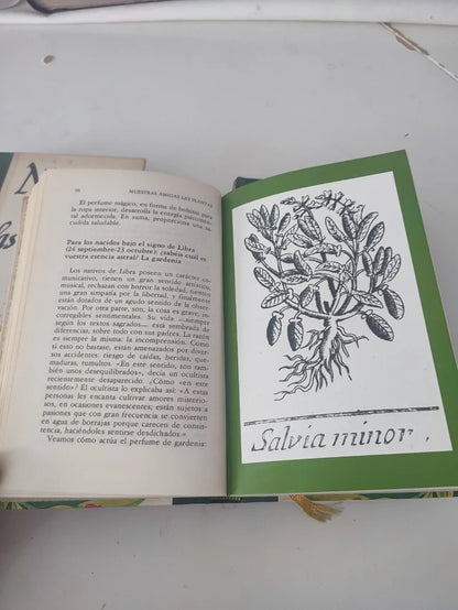 NUESTRAS AMIGAS LAS PLANTAS - Daniele Manta y Diego Semolli